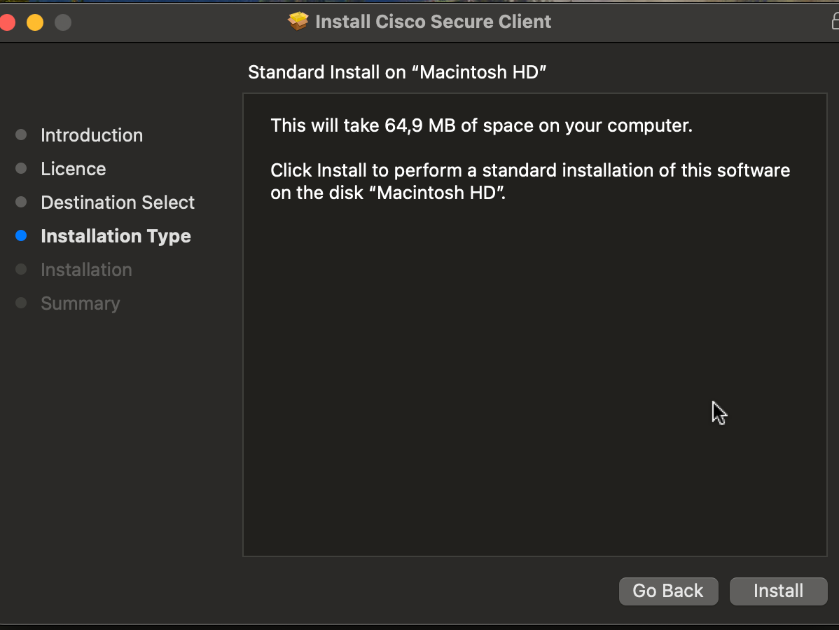 Installation type screen of the installer.