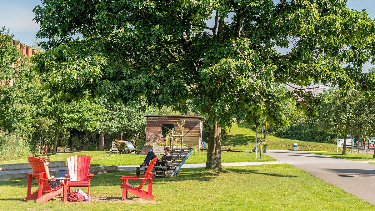 Drei rote Stühle unter einem Baum im Campuspark.