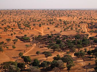 Landschaft von oben mit freistehenden Bäumen