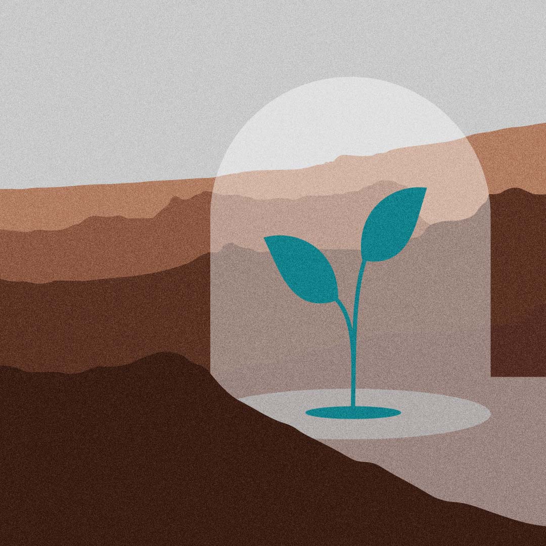 Bioproduction